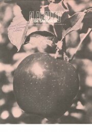 O ARAUTO DA SANTIDADE - 15 DE NOVEMBRO DE 1984