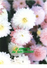 O ARAUTO DA SANTIDADE - ABRIL 1992