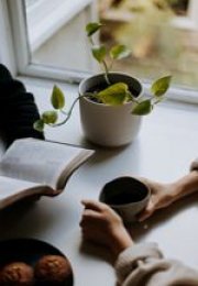 Bible study