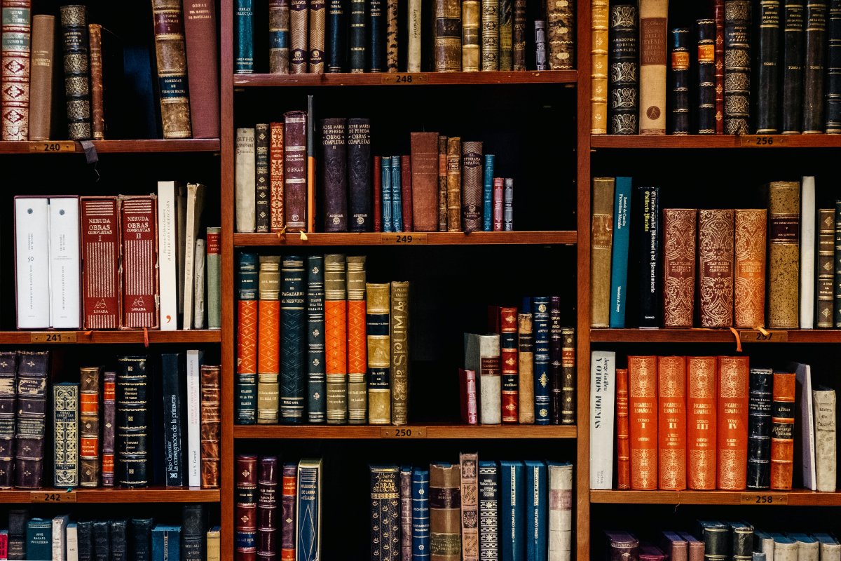 Books on wooden shelves Photo by Iñaki del Olmo on Unsplash