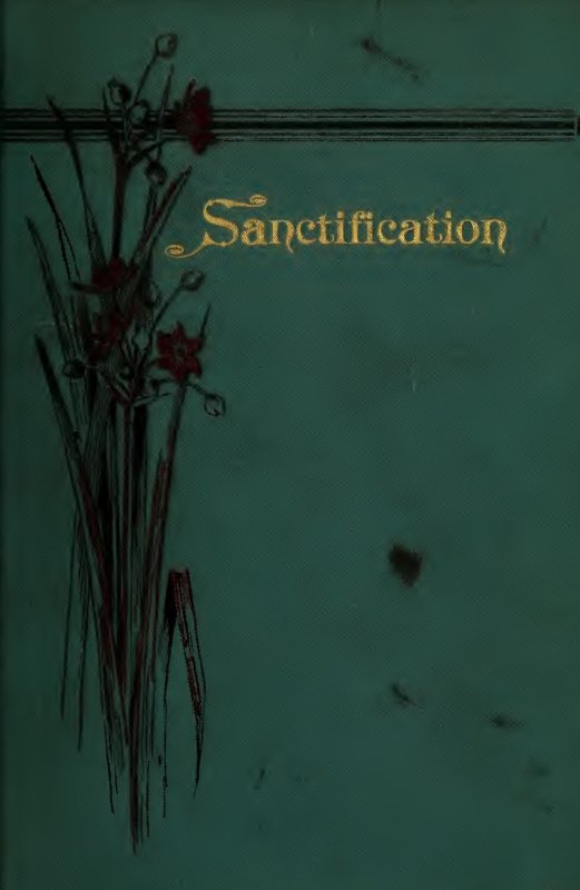 Cover of Book - Sanctification